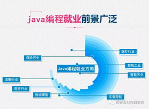 學互聯(lián)網(wǎng)軟件開發(fā)，做新時代自由高薪一族